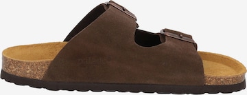 Palado Mules 'Korfu' in Brown