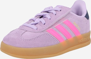 Baskets 'GAZELLE' ADIDAS ORIGINALS en violet : devant