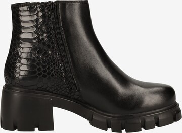 Botine 'GROSS-S' de la STEVE MADDEN pe negru