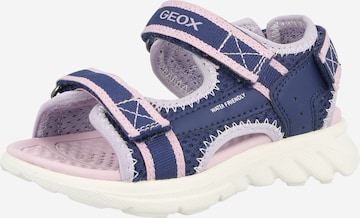 GEOX Сандали 'AIRADYUM' в синьо: отпред