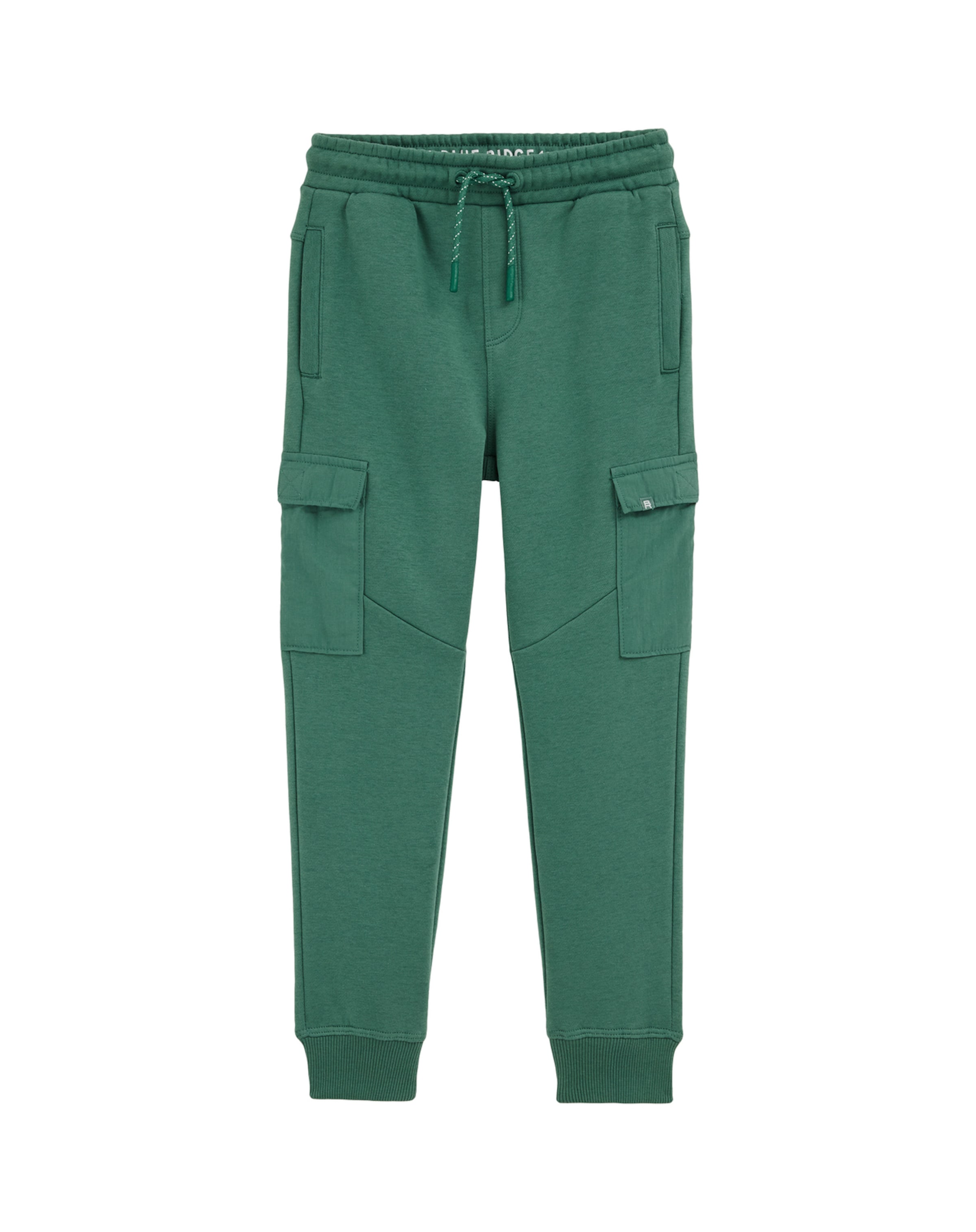 WE Fashion Spodnie w kolorze jodłam, Podgląd produktu