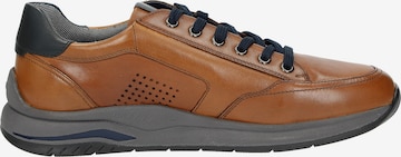 SIOUX Sneaker 'Turibio-702-J' in Braun