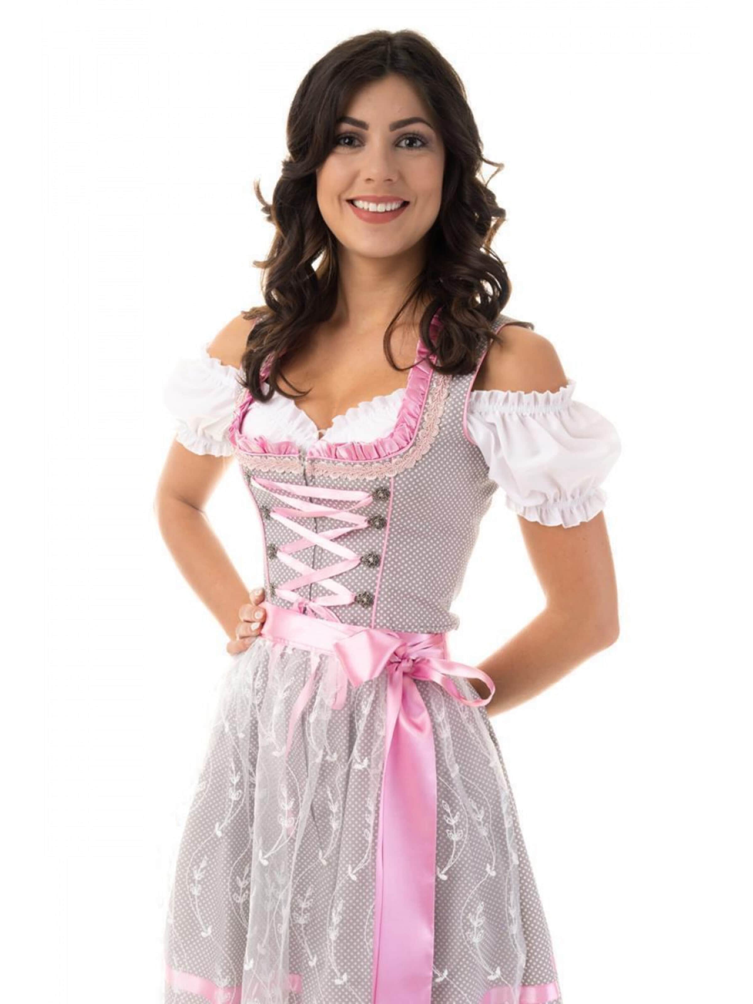 Trachtl Dirndl 'Trachtl Nicole Grau/Rosa'‌‌‌‌‌‌ in Grau: Vorderseite