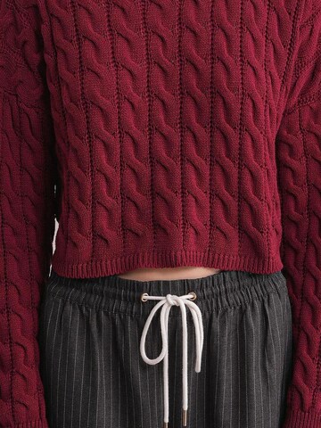 Pullover 'Pullover' di MixRay in rosso