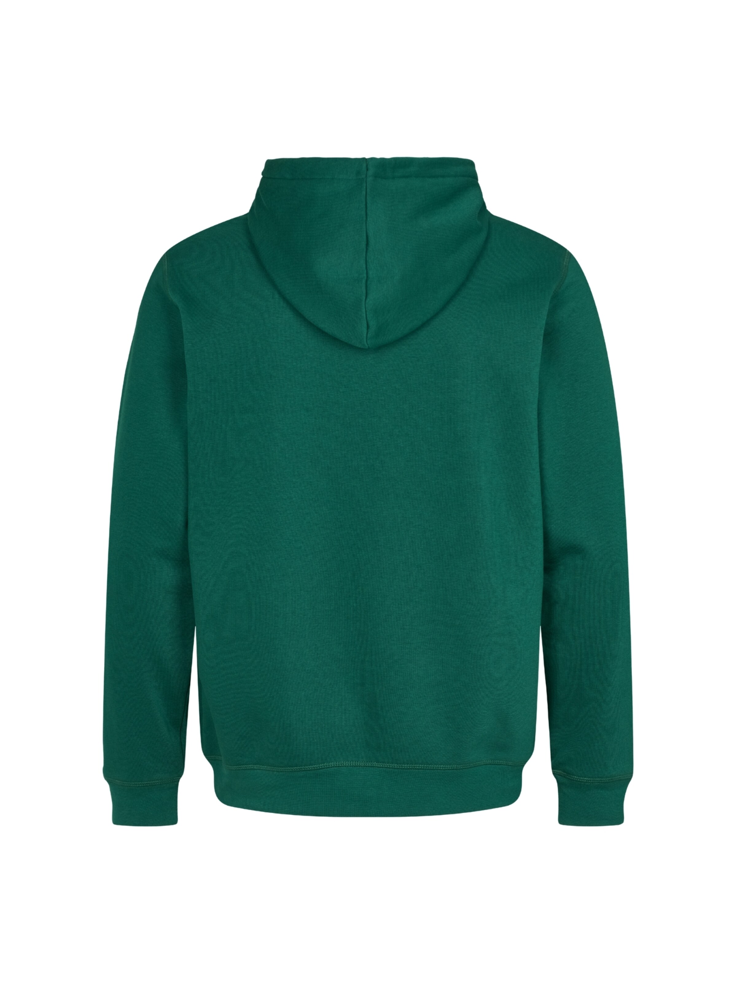 U.S. POLO ASSN. Pullover 'Toke' i grøn