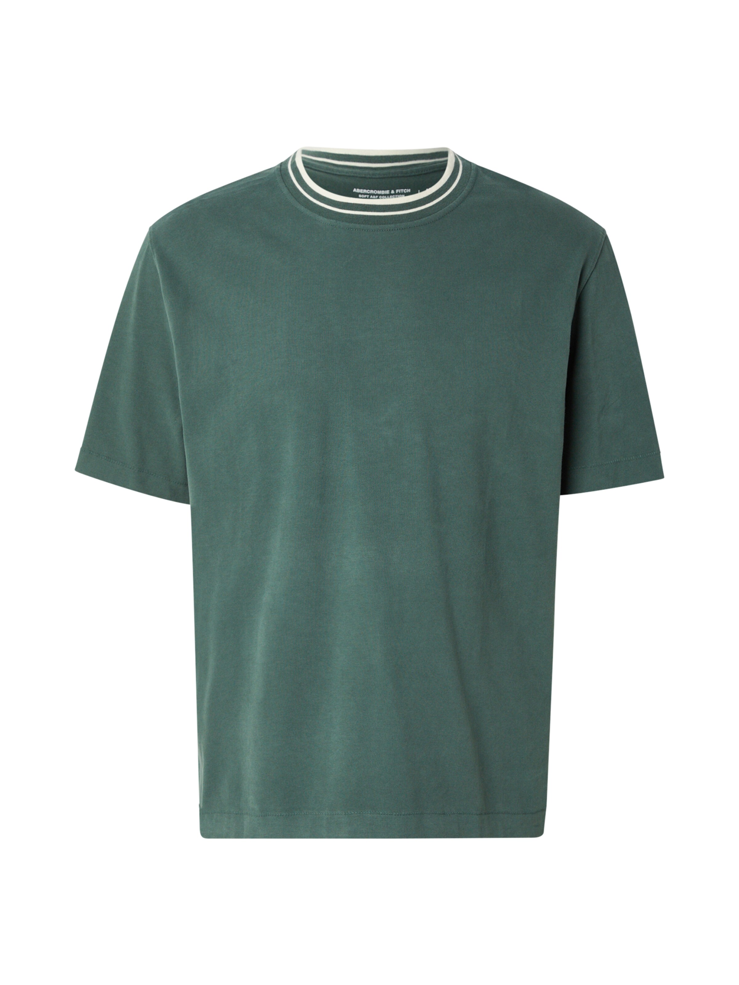 Abercrombie & Fitch Shirt in Green: front