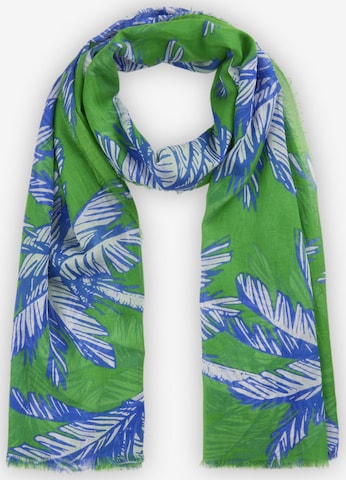 Écharpe CODELLO en vert : devant