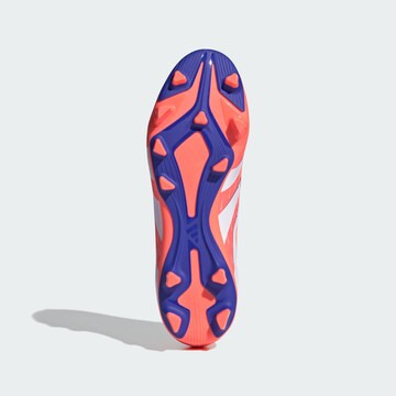 ADIDAS PERFORMANCE Voetbalschoen 'Predator Club' in Oranje