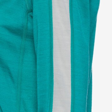 ICEBREAKER Performance Shirt '125 ZoneKnit' in Green