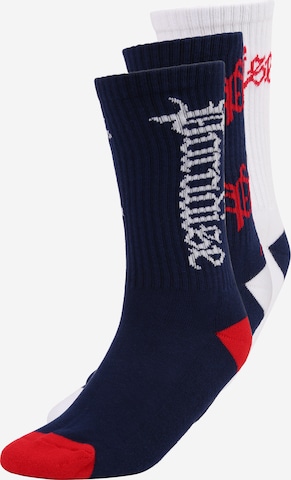 Chaussettes 'Paradise' Mister Tee en bleu : devant