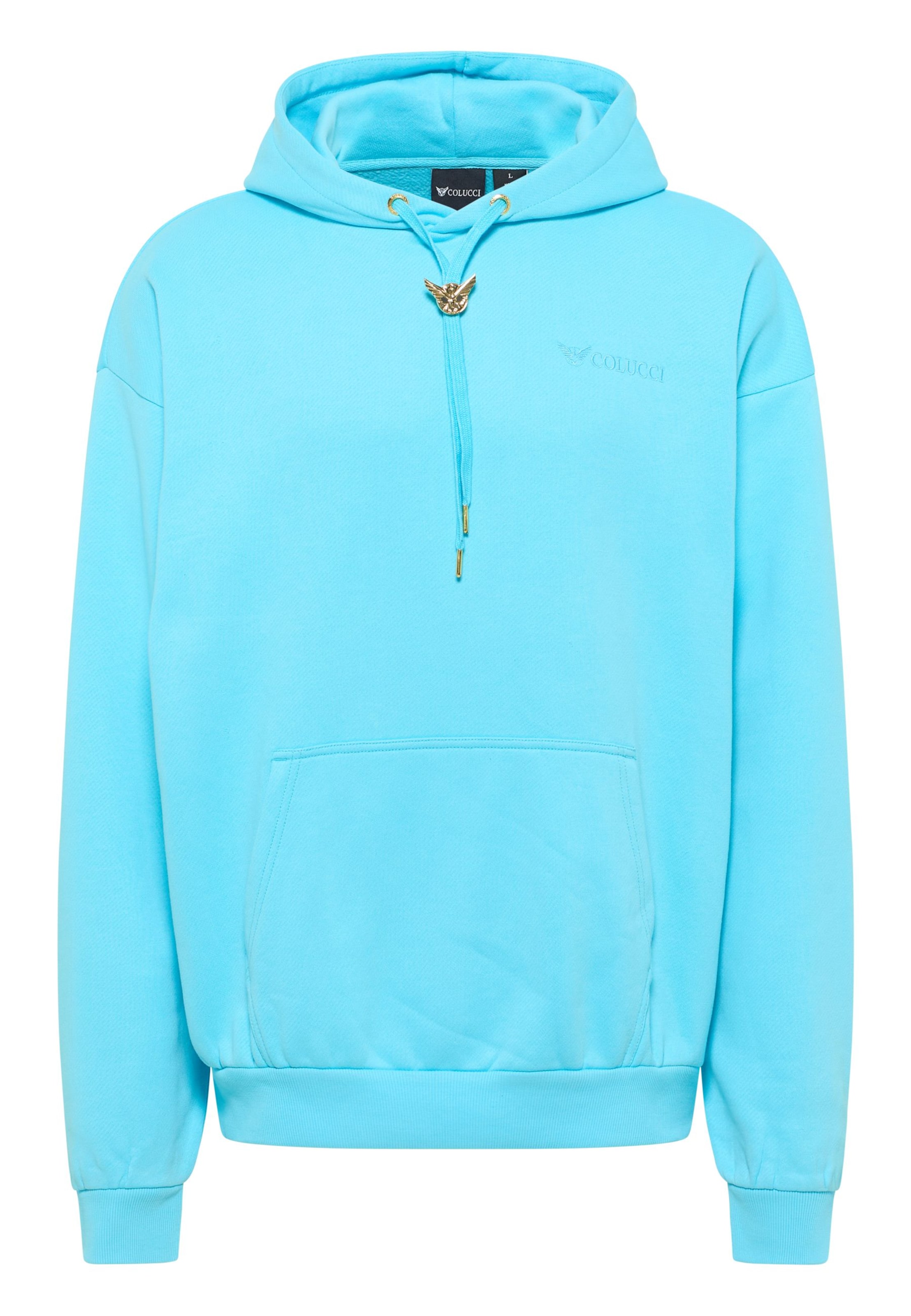 Colucci Sweatshirt in Green: front