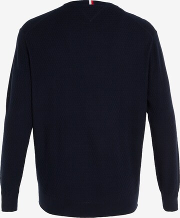 Tommy Hilfiger Big & Tall Sweater in Blue