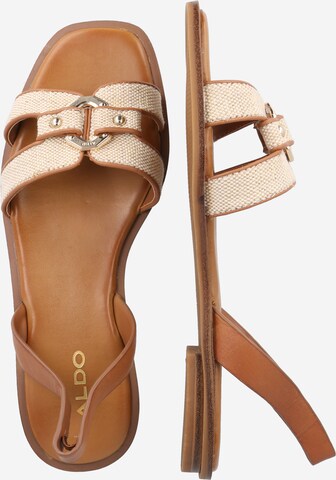 ALDO Sandalen met riem 'FANDRA' in Beige