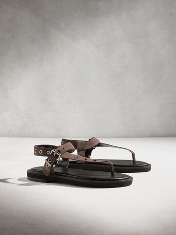 Next T-Bar Sandals in Brown
