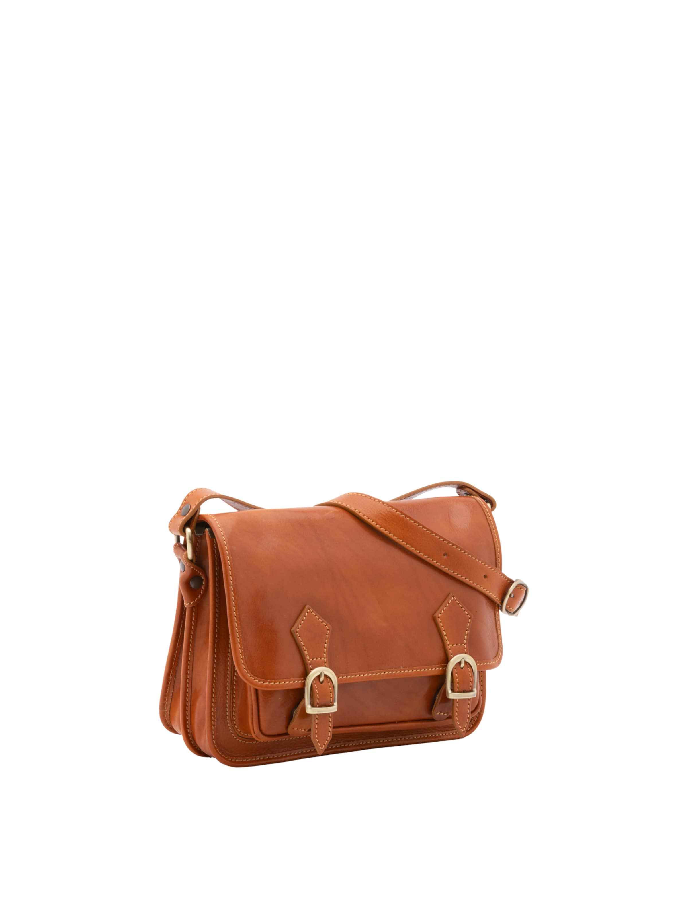 Viola Castellani Crossbody Bag in Brown: front