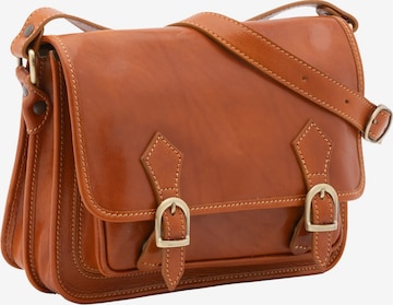 Viola Castellani Crossbody Bag in Brown: front