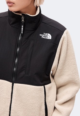 THE NORTH FACE Bluza polarowa 'RETRO DENALI' w kolorze szary: przód