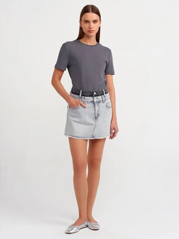 T-shirt 'T-Shirts' Dilvin en gris