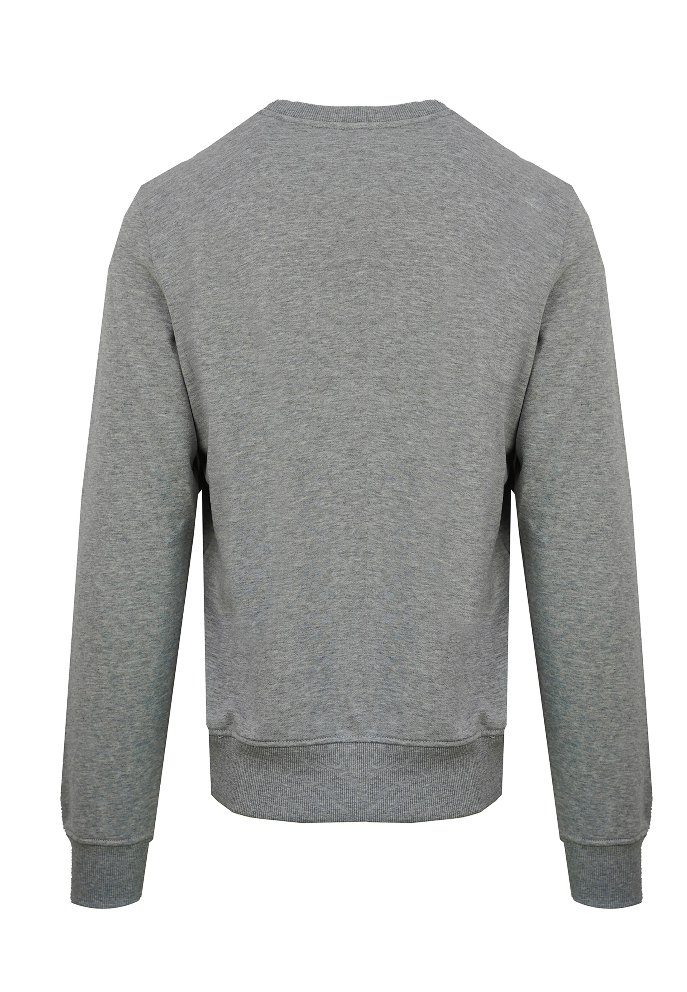 Felpa di DIESEL in grigio