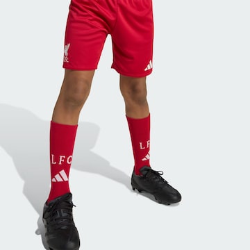 Survêtement 'FC Liverpool 25/26' ADIDAS PERFORMANCE en rouge