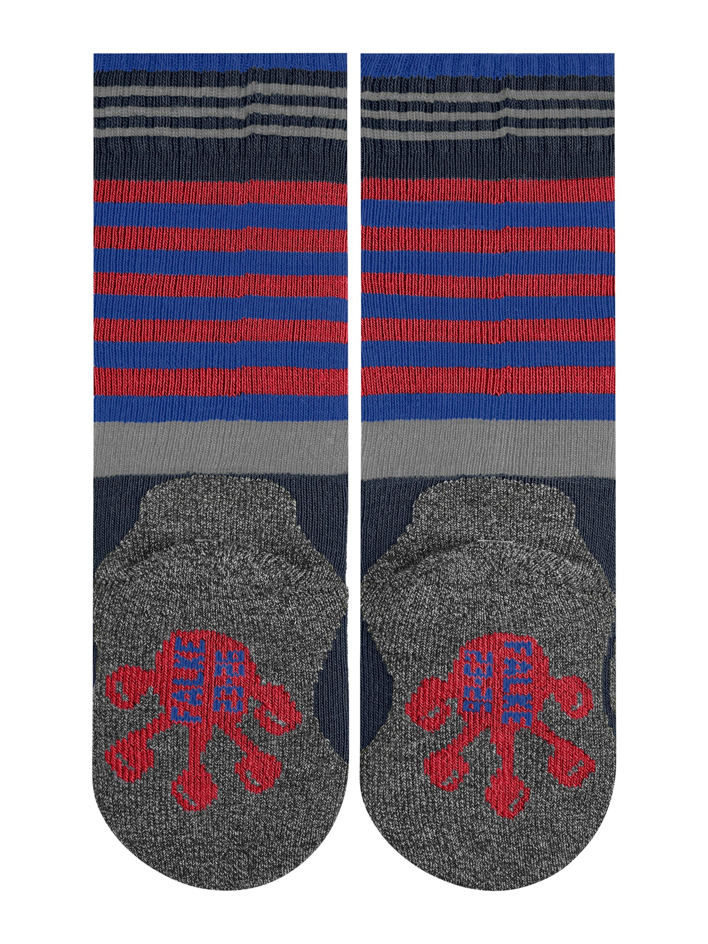 FALKE Socks 'Active Frog' in Blue