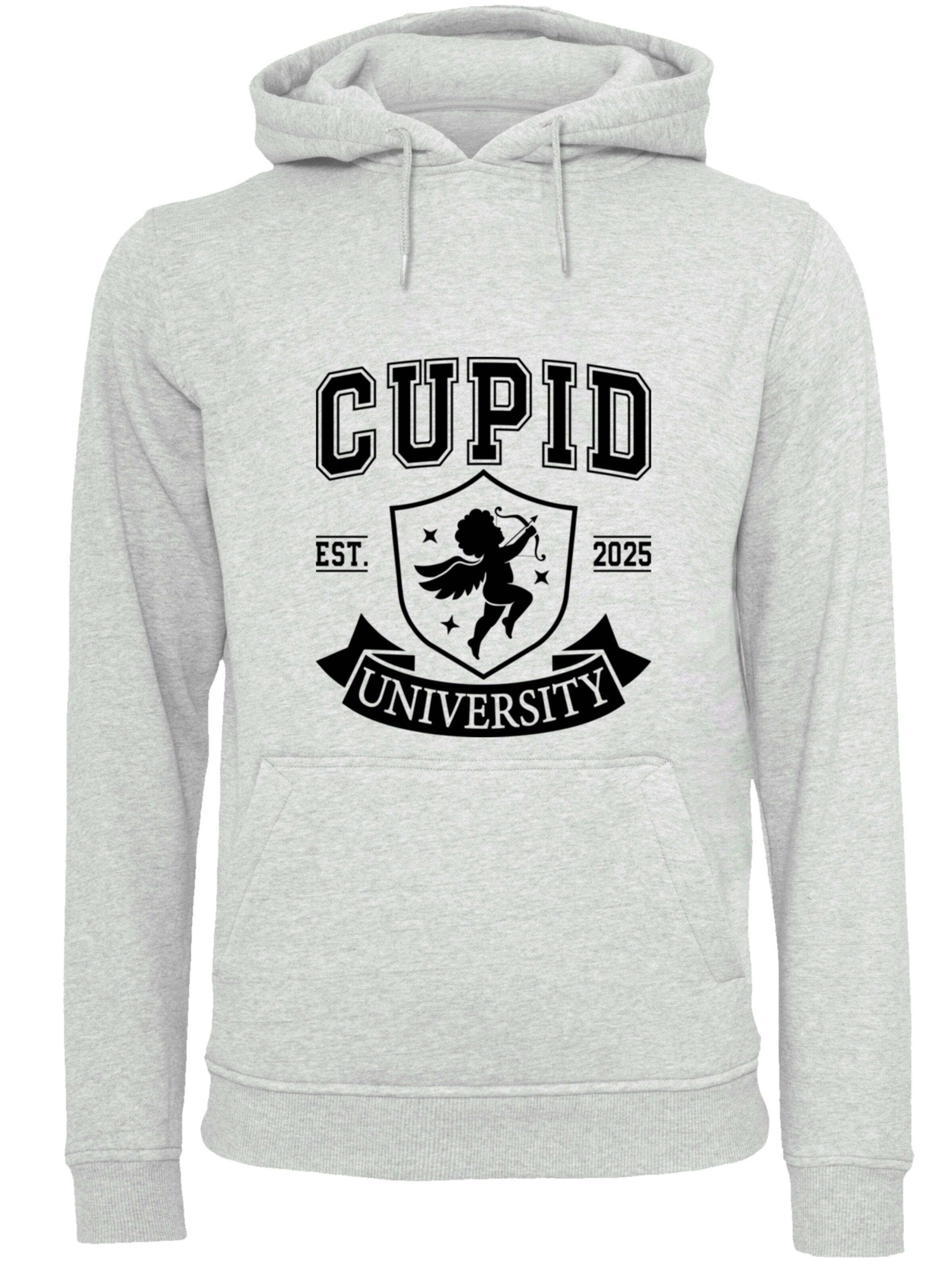 F4NT4STIC Sweatshirt 'Cupid University Valentinstag' in Grijs: voorkant
