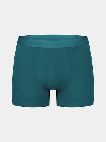 Boxers 'Casual Cotton' Erlich Textil en vert