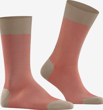 FALKE Socken 'Fine Shadow' in Beige: Vorderseite