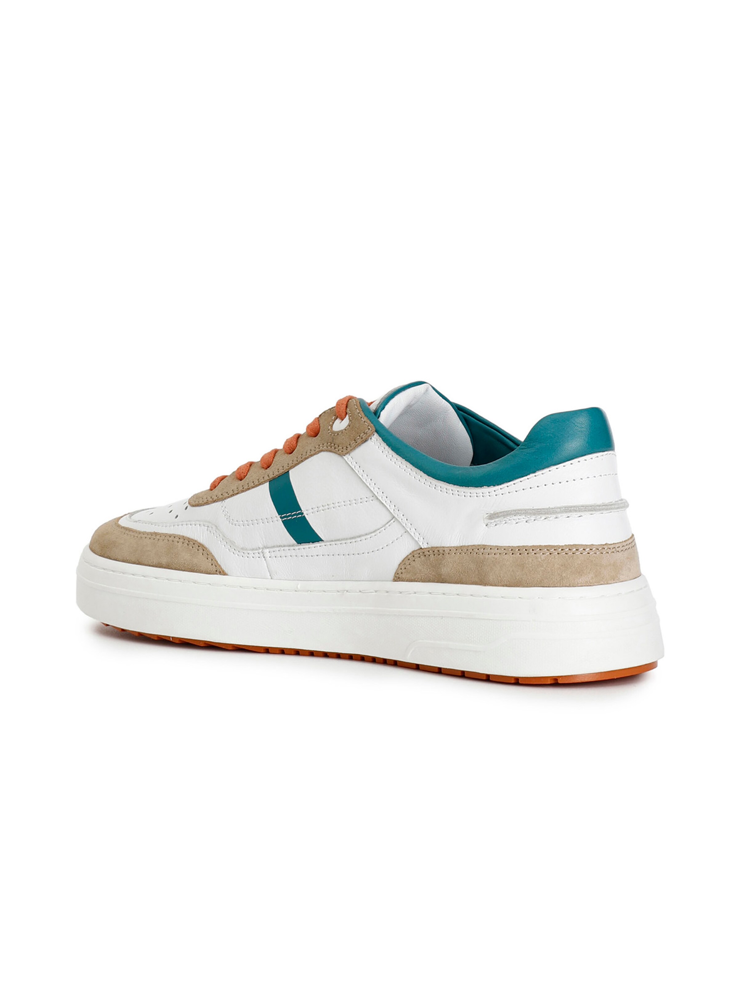 Sneaker bassa CAFè NOIR di colore colori misti, Visualizzazione prodotti