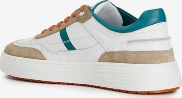 Sneaker bassa di CAFè NOIR in bianco: frontale