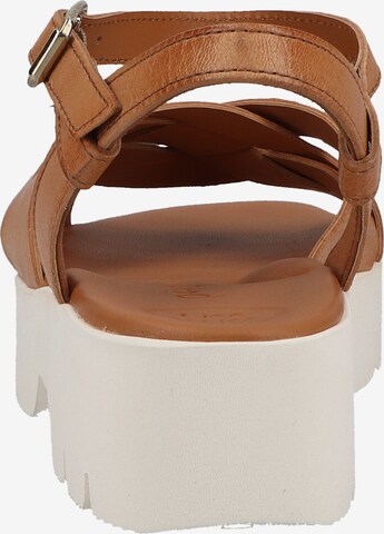 Paul Green Strap Sandals in Brown