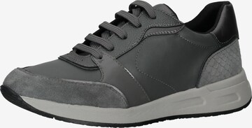 Baskets basses GEOX en gris : devant