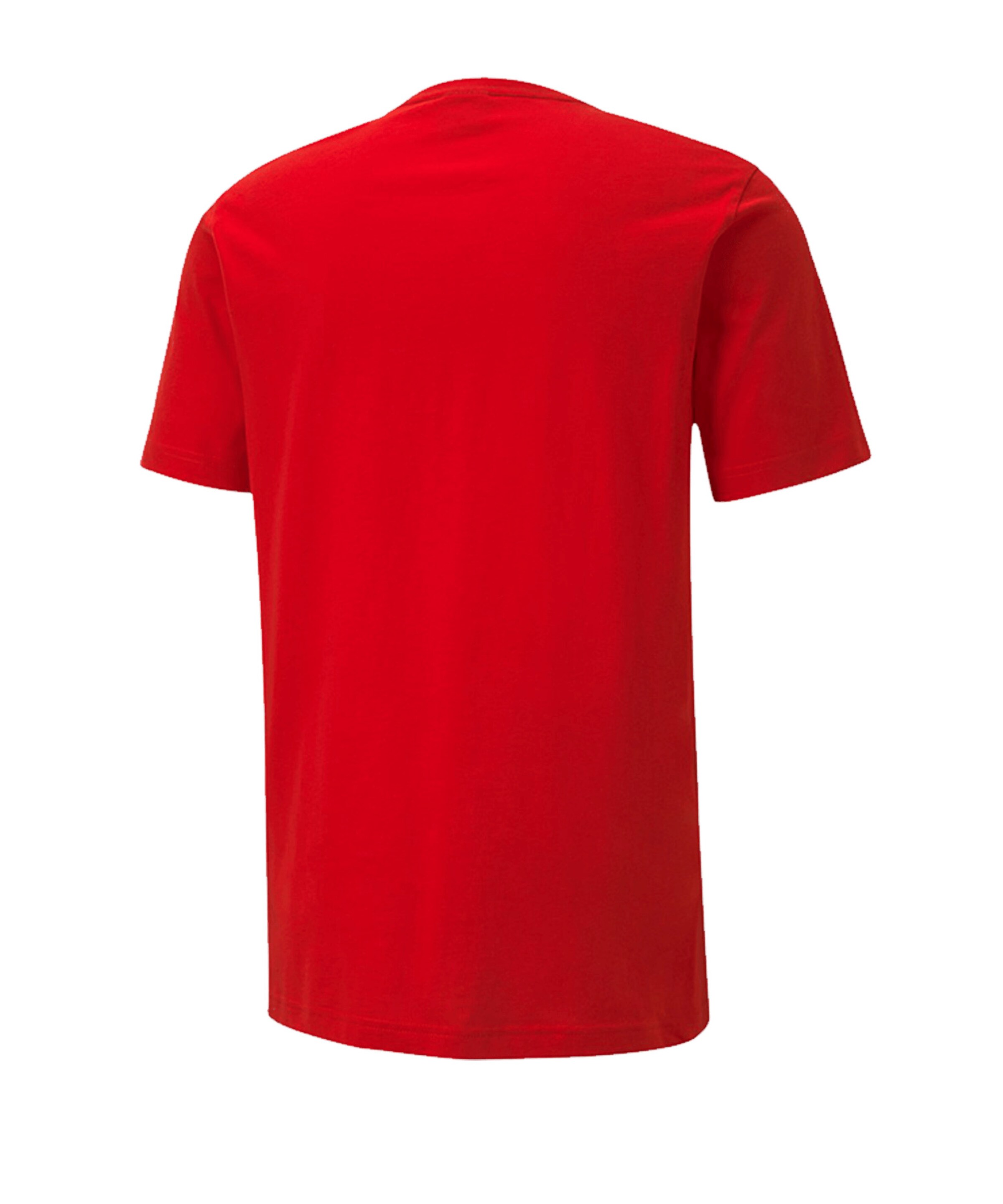 PUMA Performance shirt 'Teamgoal 23' in Red