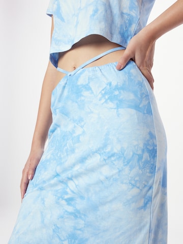 Résumé Rok 'Stevie' in Blauw