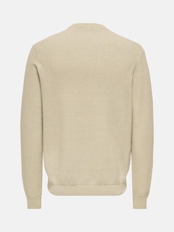 Pull-over 'ONLY & SONS ONSDAVE REG LS CREW NECK KNIT NOOS MAGLIONCINO' Only & Sons en beige