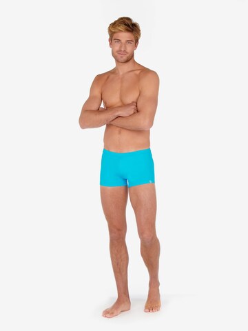 HOM Swim Trunks 'Sea Life' in Blue