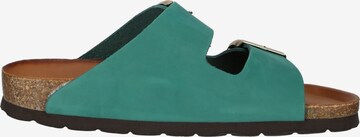 ROHDE Mules in Green