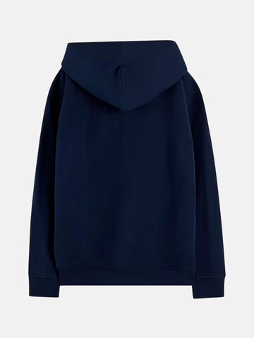 Tommy Hilfiger Kids - Sudadera 'TOMMY HILFIGER KIDS FLAG HERITAGE HOODIE FELPA' en azul