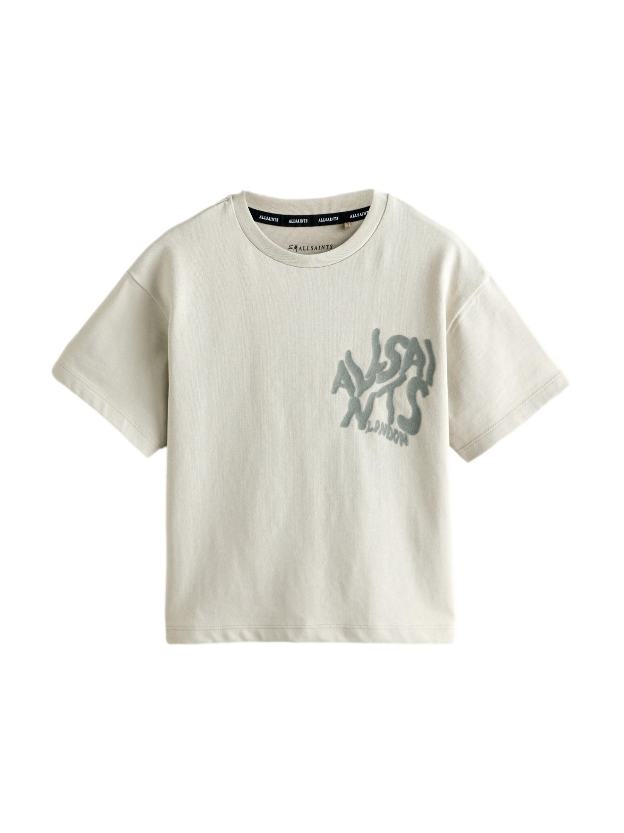 Maglietta di smALLSAINTS in grigio: frontale