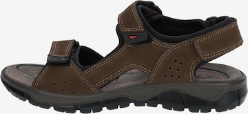 IMAC Hiking Sandals in Brown