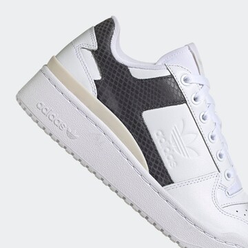 Baskets basses 'Forum Bold' ADIDAS ORIGINALS en blanc