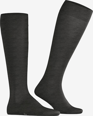 FALKE Knee High Socks 'ClimaWool' in Grey: front