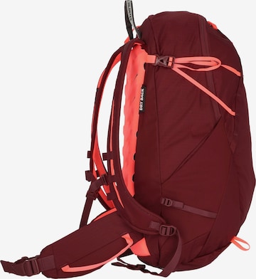 SALEWA Sports Backpack 'Trainer' in Red