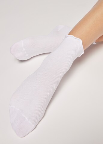 CALZEDONIA Socks in White: front