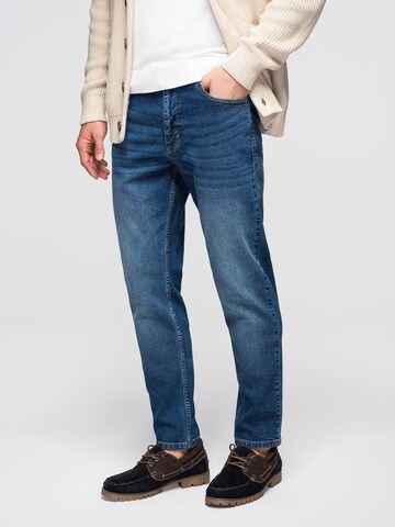 Ombre Regular Jeans in Blau