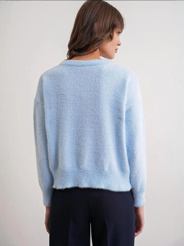 MixRay Gebreid vest 'Strickjacken' in Blauw