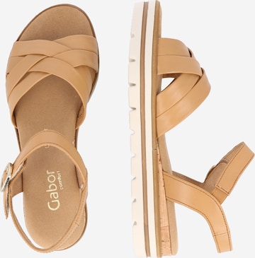 GABOR Strap Sandals in Brown