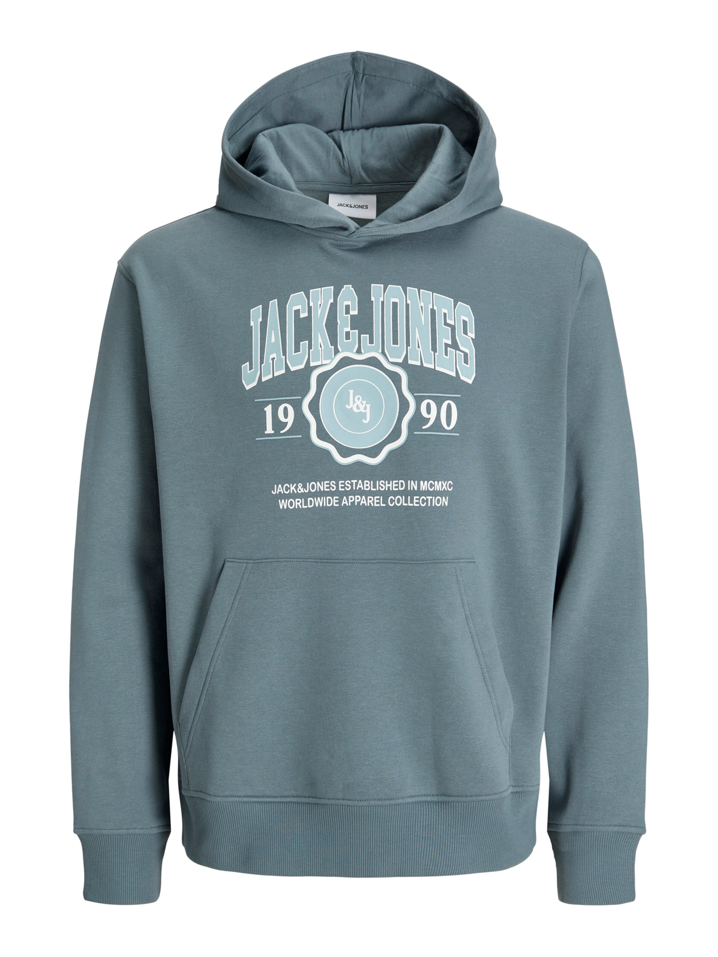 Jack & Jones Kapuzensweatshirt JJSTEEL SWEAT HOOD, Pigmentprint für