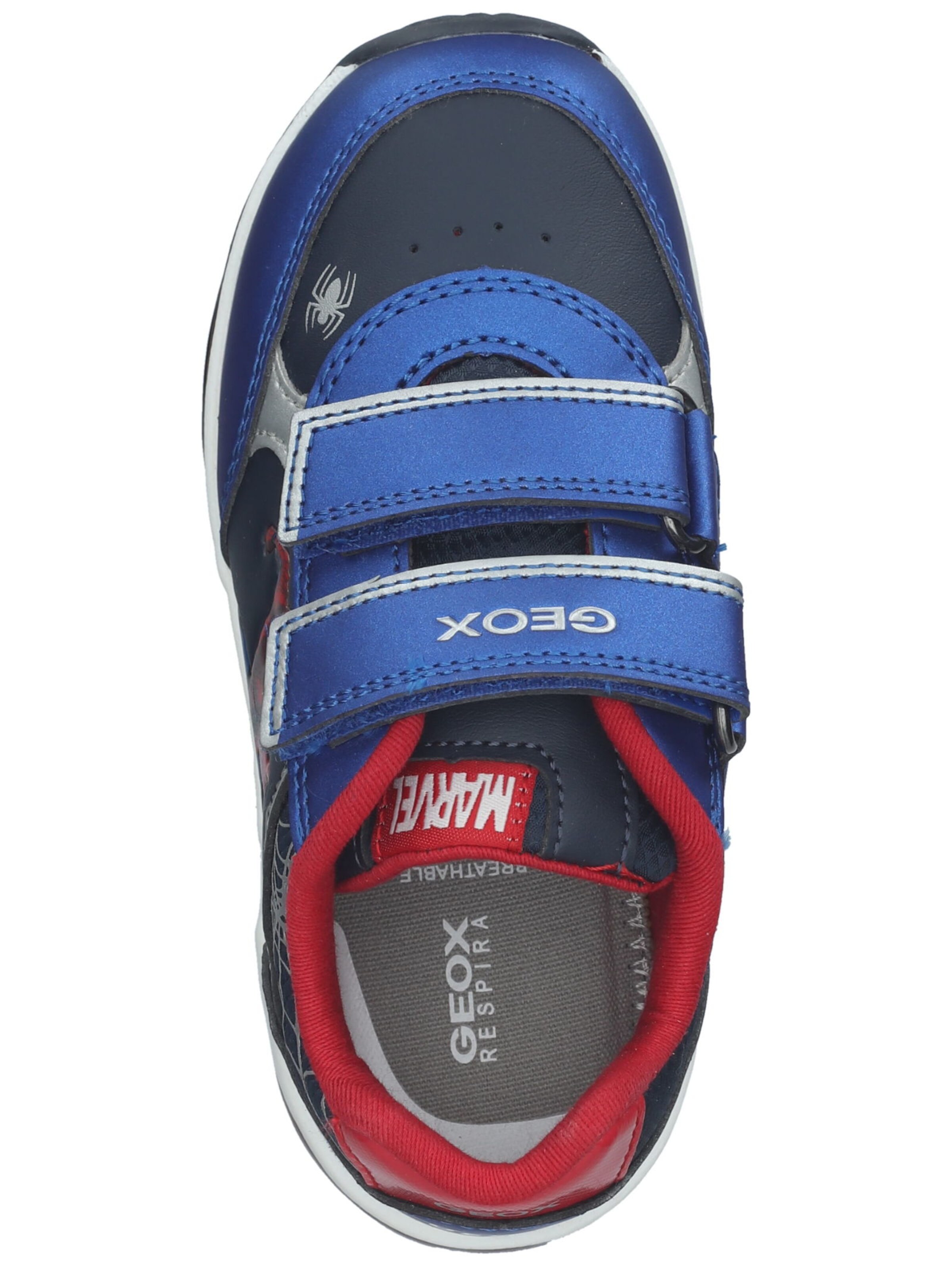 GEOX Sneaker in Blau