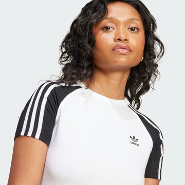 ADIDAS ORIGINALS Shirts 'Adicolor' i hvid